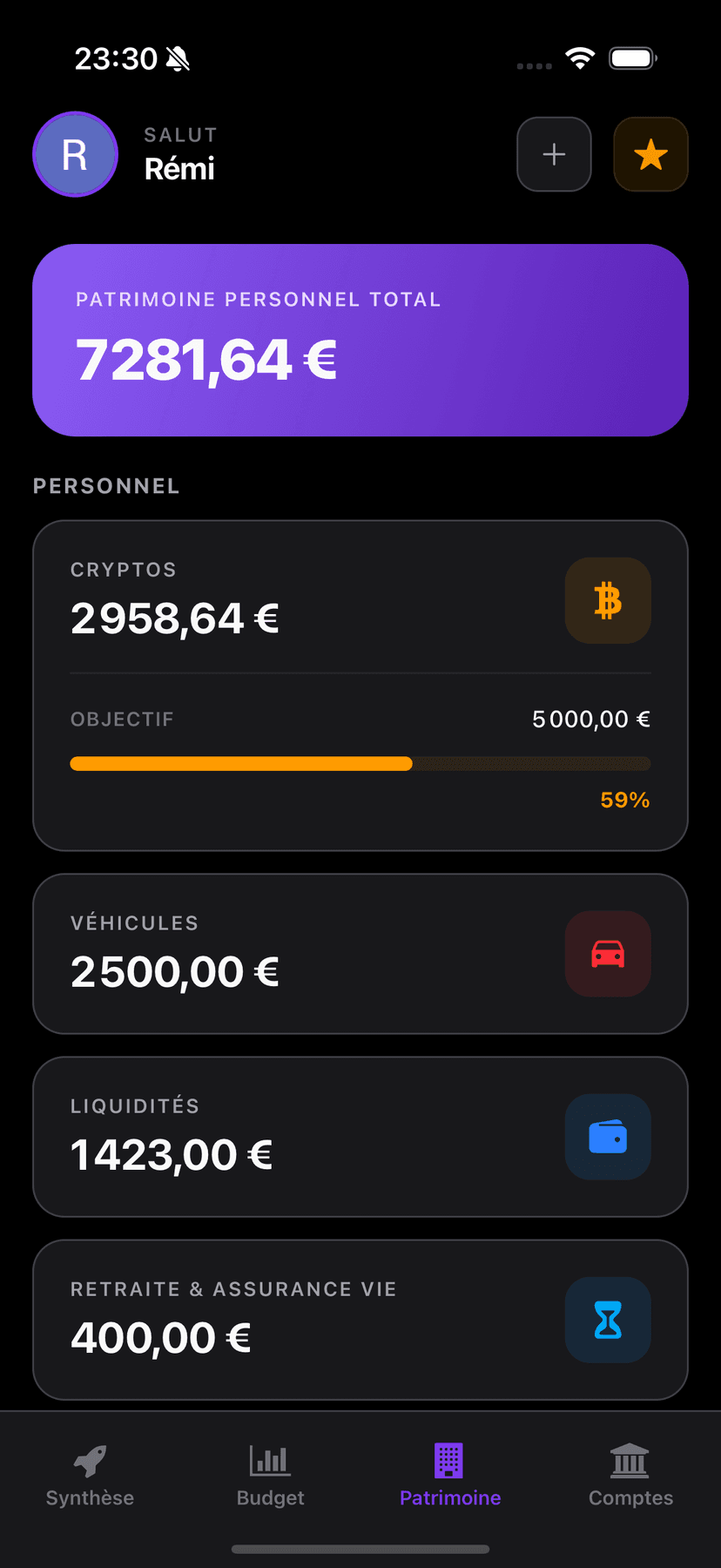 Vue d'ensemble du patrimoine - Agrégateur bancaire Trya
